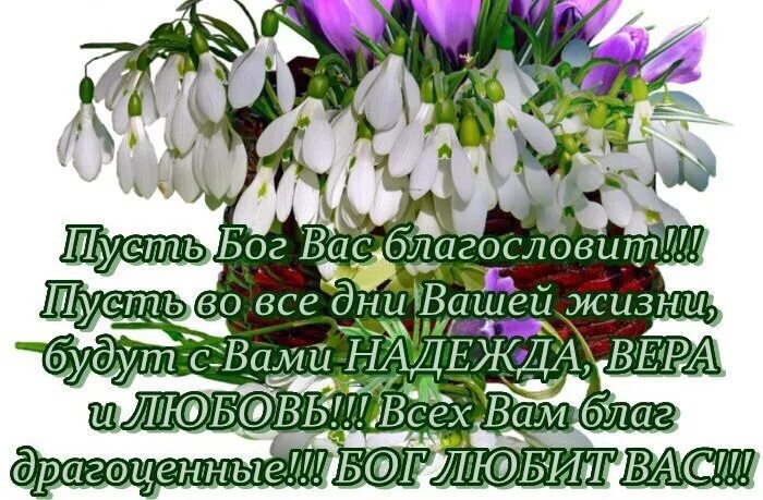 Благословенного весеннего утра. Благословенного весеннего дня. доброе утро благословенного дня. христианские пожелания с добрым утром весенние. благословенного дня весной.