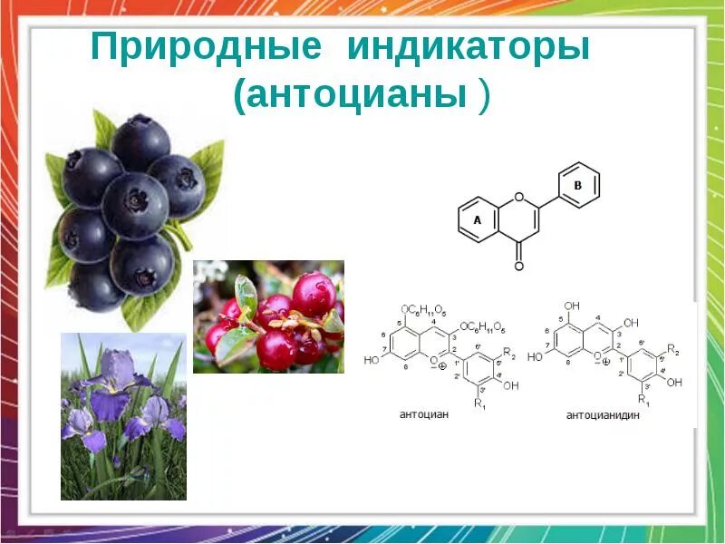 Синтез антоцианов. Антоцианы в кислой и щелочной среде. Антоцианы пигменты растений индикаторы. Пигмент антоциан. Природные индикаторы.