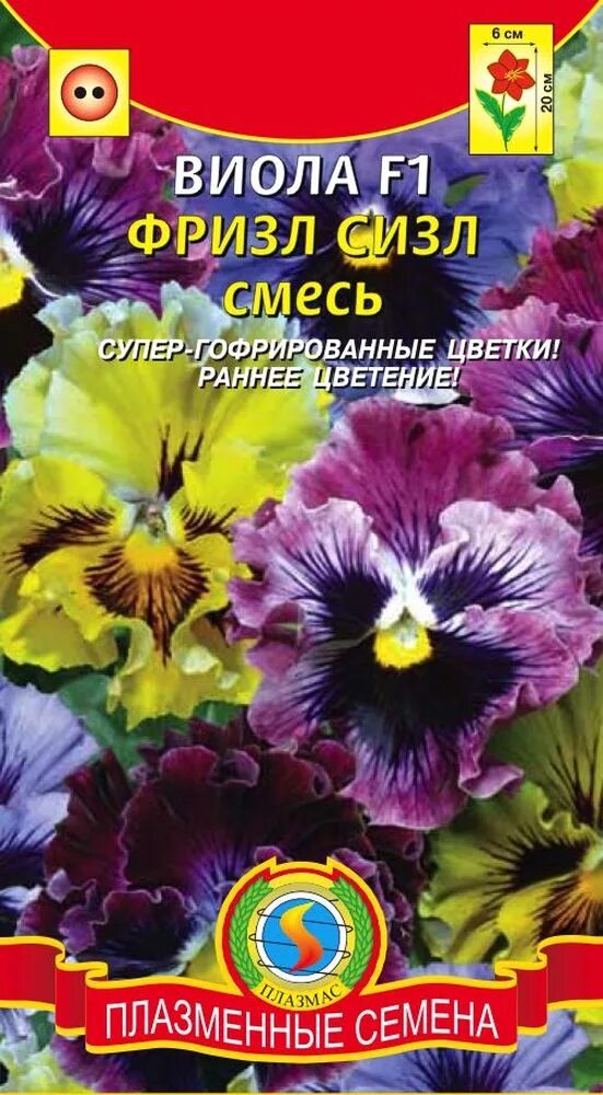 Виола frizzle sizzle. Виола фризл сизл. Виола белоснежная. Виола виттрока семена. Виола белоснежка фото.