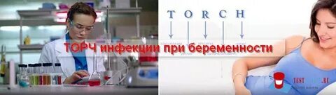 Сдать на торч инфекции