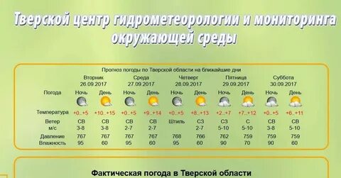 Погода зеленый тверская область