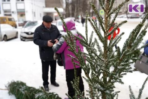 Вторая половина декабря