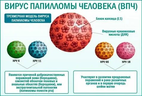 Вирус папилломы гинекология как передается
