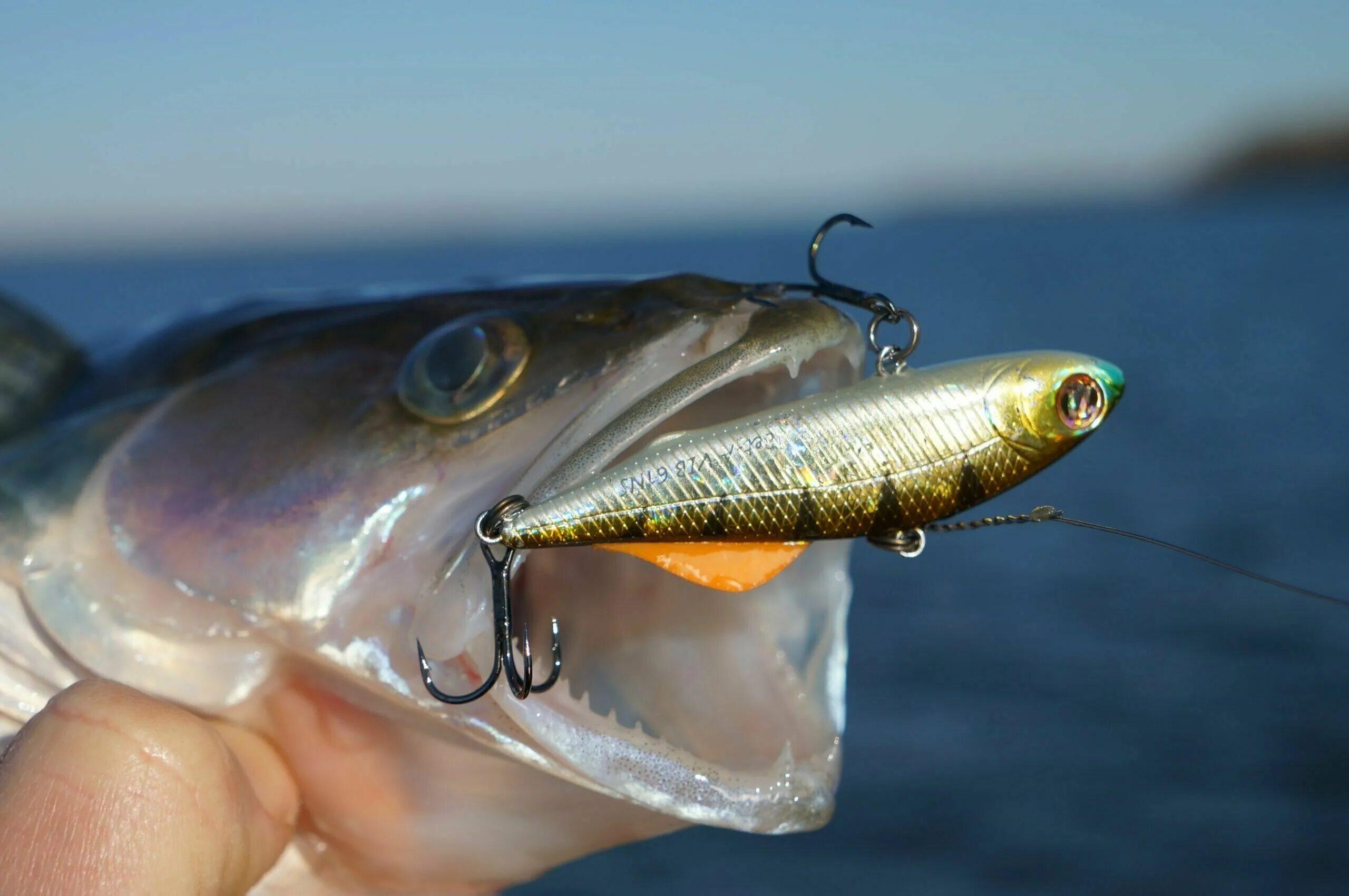 Ратлин виб для зимней рыбалки. Ратлины и вибы на судака. Виб ратлин для зимней рыбалки на судака. Раттлин higashi predator. Ратлины и вибы на судака.