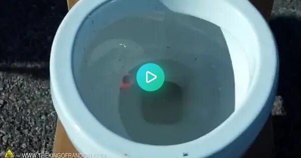 Туалет вау