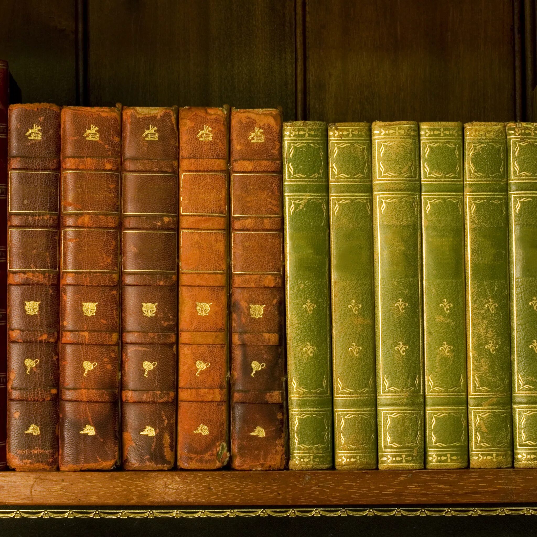 На книжной полке стоят книги. Полка для книг. книжная полка с книгами. изображение книги. книги на полке.