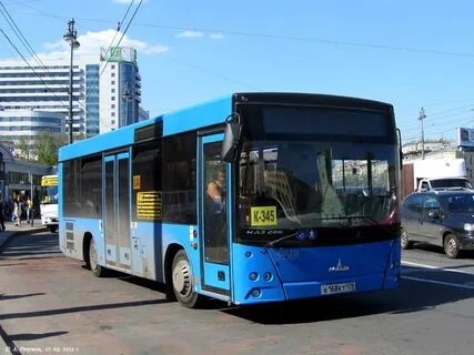 Автобус 206 спб
