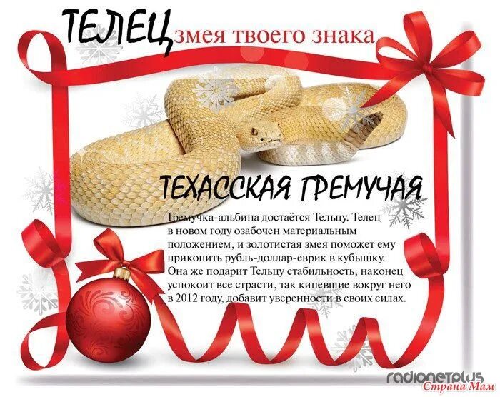 гороскоп змеи. год змеи по знакам зодиака. какие знаки подходят змее. год змеи по месяцам. змея по знаку зодиака.