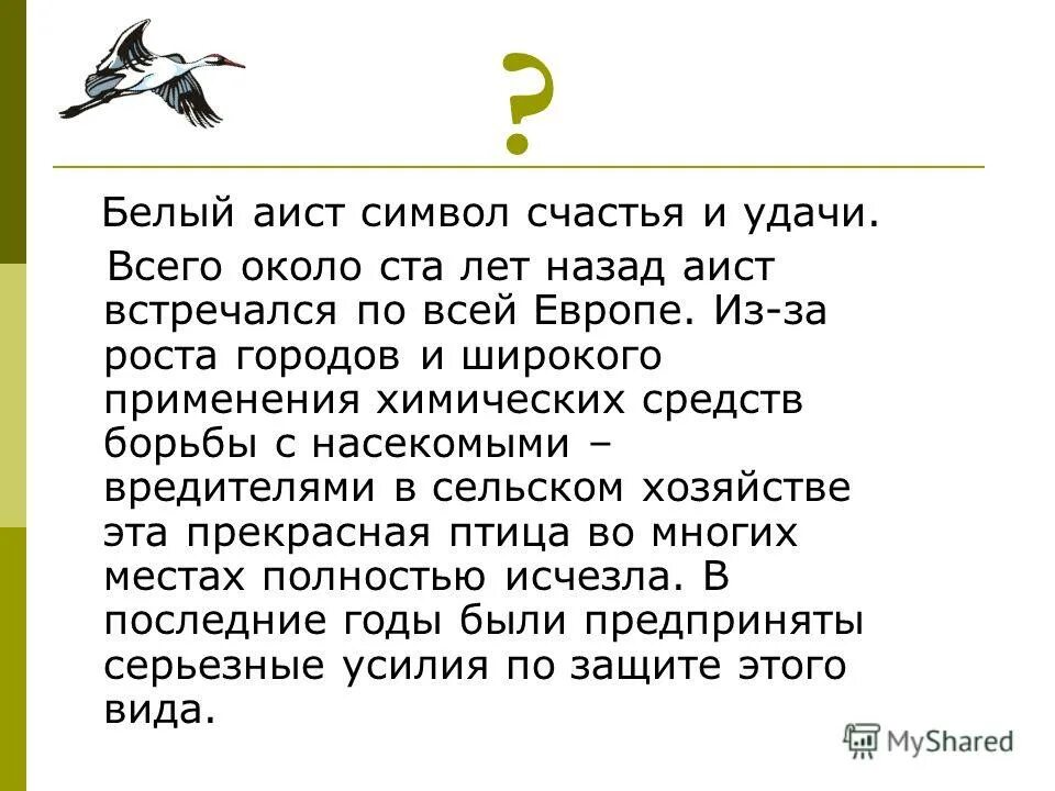 Какие качества аистов по мнению автора текста. Аист что символизирует. Аист символ чего. Примета если встретил аиста. Встретить аиста на дороге примета.