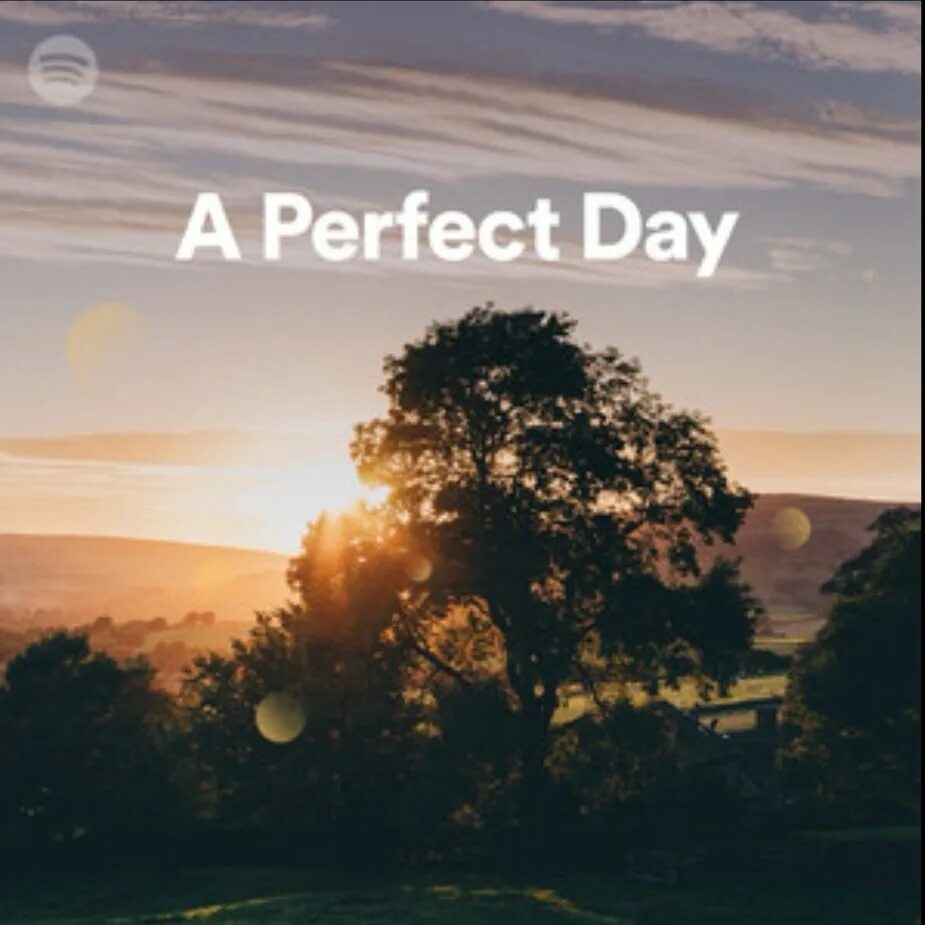 Perfect Day. Perfect Day компания. My perfect Day фото. Картина perfect Day.