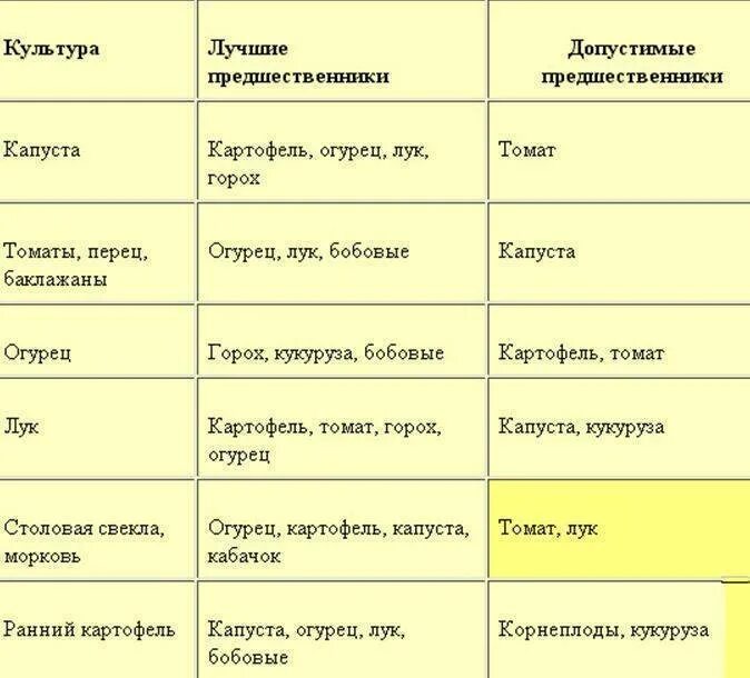 После каких можно сажать чеснок. После чего сажать морковь на следующий год таблица. После моркови можно сажать лук. После чего сажать морковь на следующий год. После каких культур можно сажать морковь и лук.