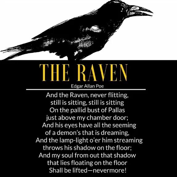 Raven poe. Edgar POE Raven. The Raven Edgar Allan POE.