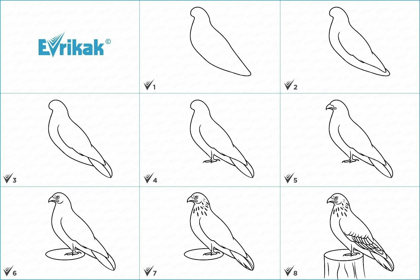 Как быстро нарисовать птицу. Как нарисовать сокола поэтапно. рисование орла пошагово. как нарисовать ястреба карандашом. ястреб рисунок поэтапно.