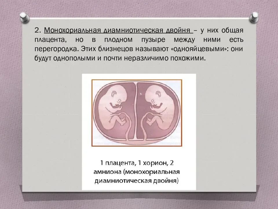 Монохориальная беременность двойней. Беременность дихориальная диамниотическая двойня. Монохориальная диамниотическая Близнецы. Монохориальная диамниотическая многоплодная беременность. Двойня 8 недель