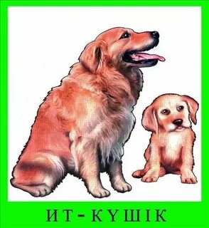 Джимми Нетрон Синди Кроуфордпен порно мультфильм