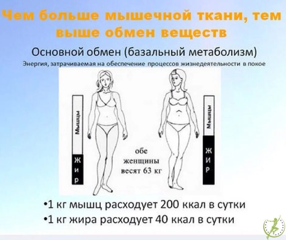 Литр жира сколько. Соотношение объема мышц и жира. Соотношение веса жира и мышц. Пропорции мышц и жира.