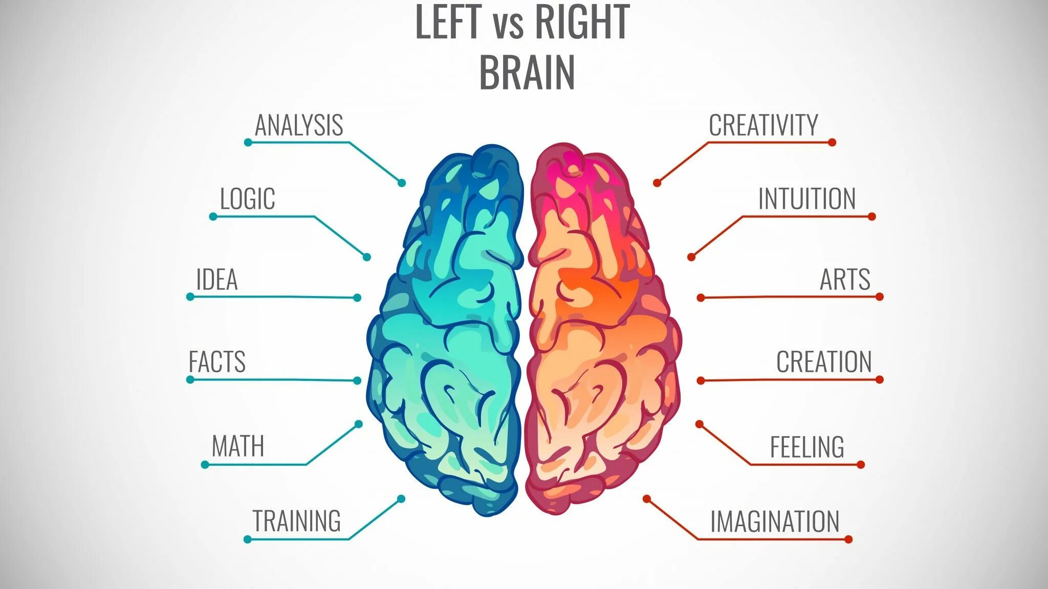 Правом полушарии. Левое и правое полушарие мозга инфографика. Мозг левое правое полушарие логика чувства. Полушарие мозга правое против левого. Часть мозга отвечающая за интуицию.
