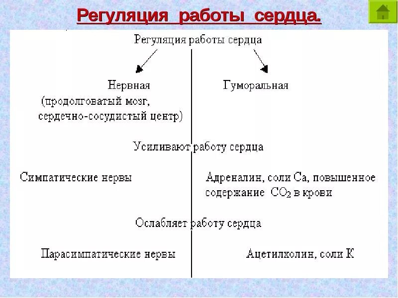 Гуморальная регуляция работы сердца человека. Регуляция работы сердца схема. Схема по регуляции работы сердца. Регуляция работы сердца таблица. Регуляция деятельности сердца схема.