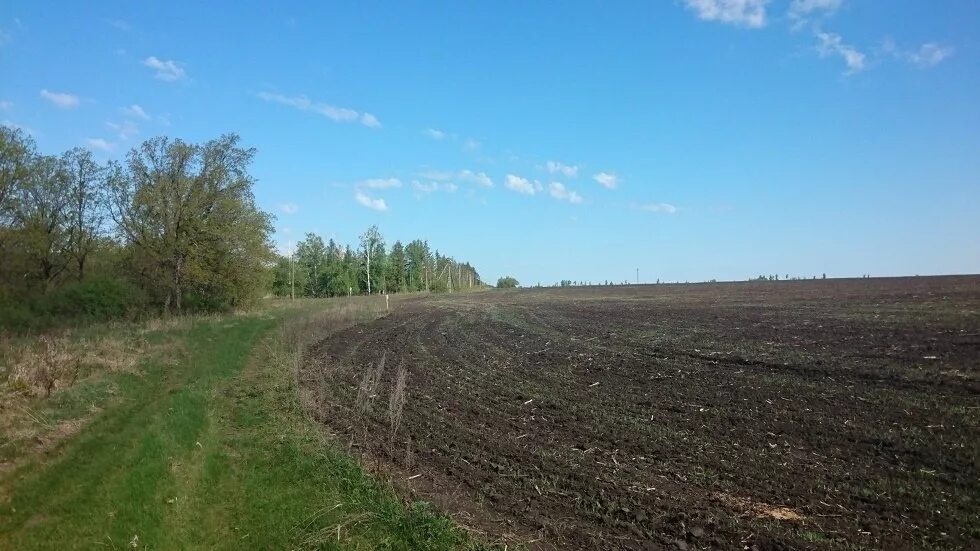 Грунты самары. Грунты самары. Почвенная карта самарской области. Грунты самары. Типы почв самарской области.