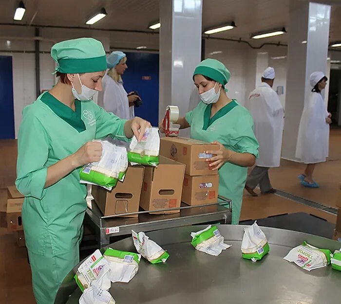 Сырью зона. Зеленая долина украина. Карта минеральных природных ресурсов россии. Золоторудные месторождения алтайского края. Сырью зона.