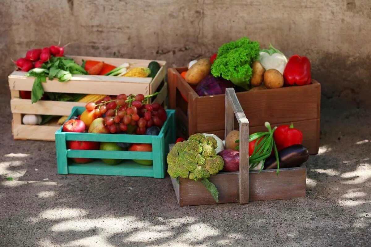15 ящиков фруктов. Овощи в ящике. Фрукты и овощи в ящике. Фрукты в ящике. Урожай овощей в ящиках.