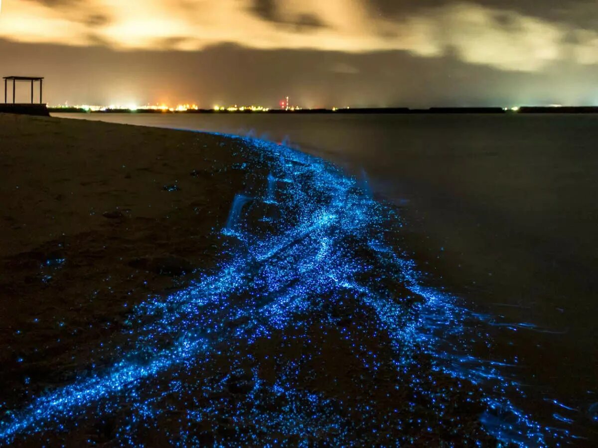 Glowing beach