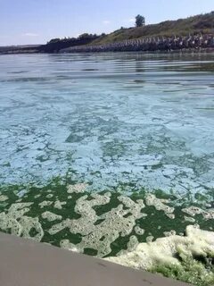 Вода в волге сейчас