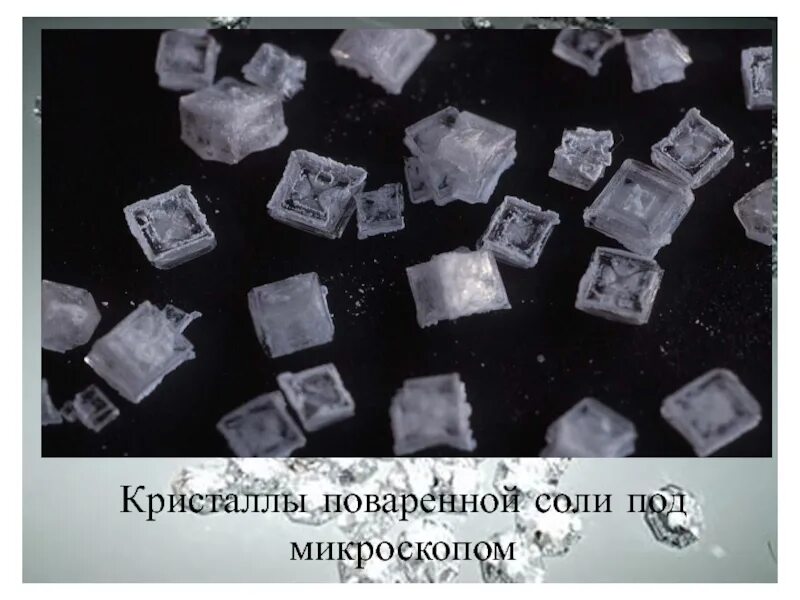 Кристаллы поваренной соли под микроскопом. Кристаллы соли и сахара под микроскопом. Кристаллы из соли под микроскопом. Соль под микроскопом.