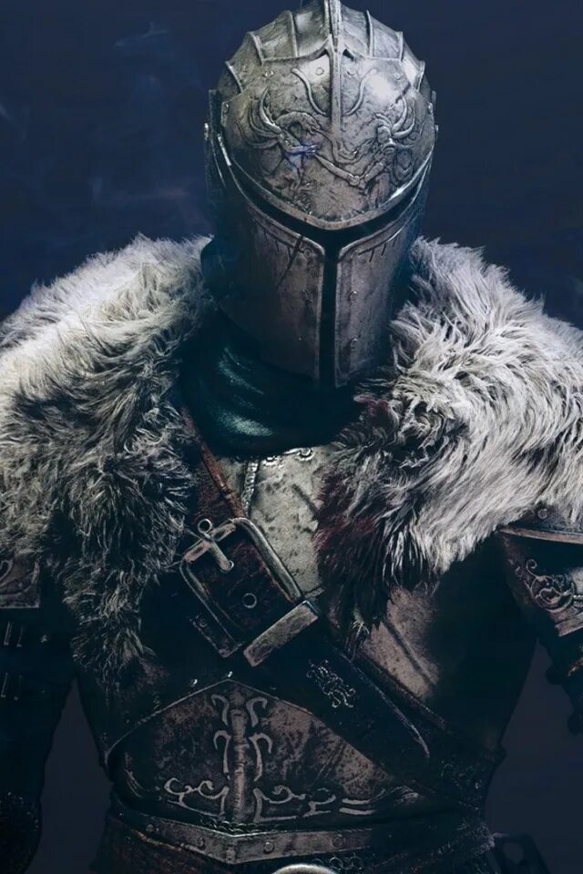 Knight reader. Knight reader
