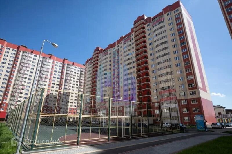 Рубиновая 11 отрадное. П отрадное рубиновая улица 15. Черёмушки отрадное воронеж. Отрадное воронежская область черемушки. Черёмушки отрадное воронеж.