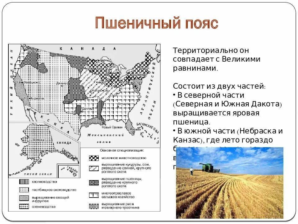 Пшеничные штаты сша. Сельскохозяйственные пояса северной америки на карте. сельское хозяйство сша по штатам. сельское хозяйство сша карта. сельскохозяйственные пояса северной америки.