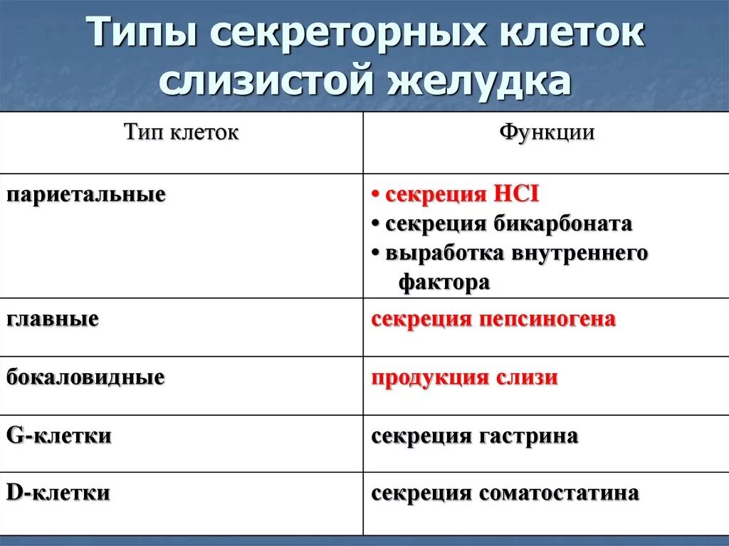 Функциями и клетками слизистой оболочки желудка. Типы клеток желудка. Типы секреторных клеток слизистой желудка. Виды секреторных клеток. Клетки желудка и их секреция.