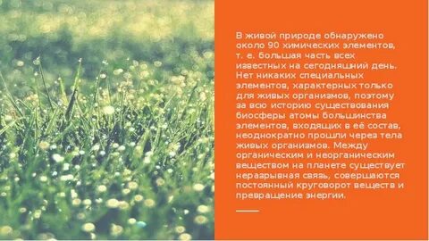 Какая роль живых организмов в природе