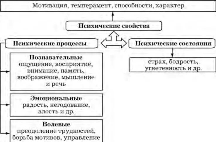 Психологические процессы память речь. Психологические процессы память речь. Познавательные психические процессы. Психологические процессы память речь. : воображение, ощущение, память, восприятие и мышление.