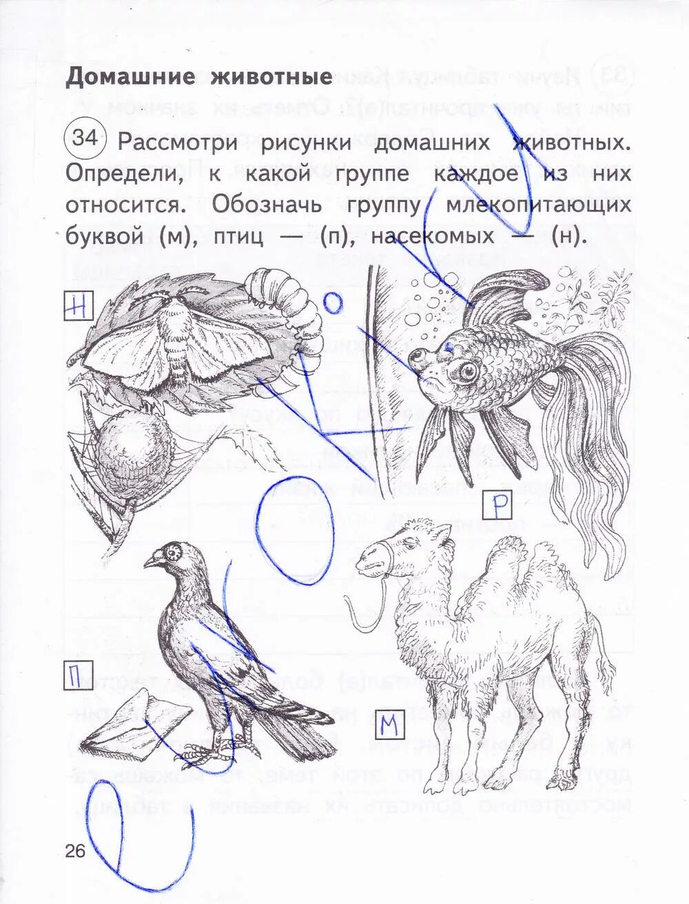 Окружающий мир 2 класс Федотова рабочая тетрадь 2 часть стр. Окружающий мир 2 класс рабочая тетрадь 1 часть Федотова стр 3. Окружающий мир Федотова рабочая тетрадь 2 кл. Рабочая тетрадь окружающий мир мир 2 класс Федотова.