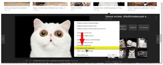 Как копировать url. Скопировать адрес изображения. копировать url картинки. как копировать url картинки в яндексе. где взять url картинки.