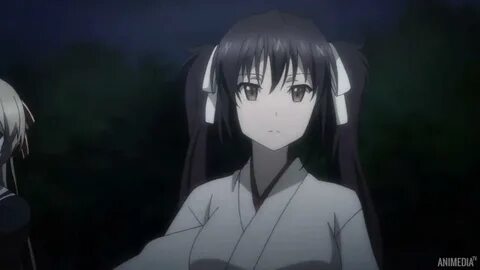 Animedia life