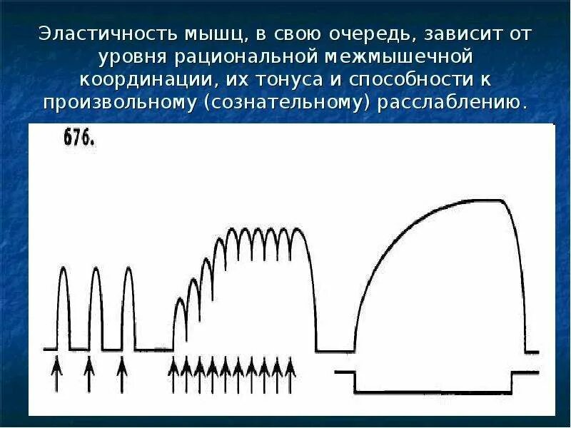 Улучшение эластичности мышц. Эластичность мышц. эластичность и упругость мышц. неэластичные мышцы. эластичностью мышцы является способность.