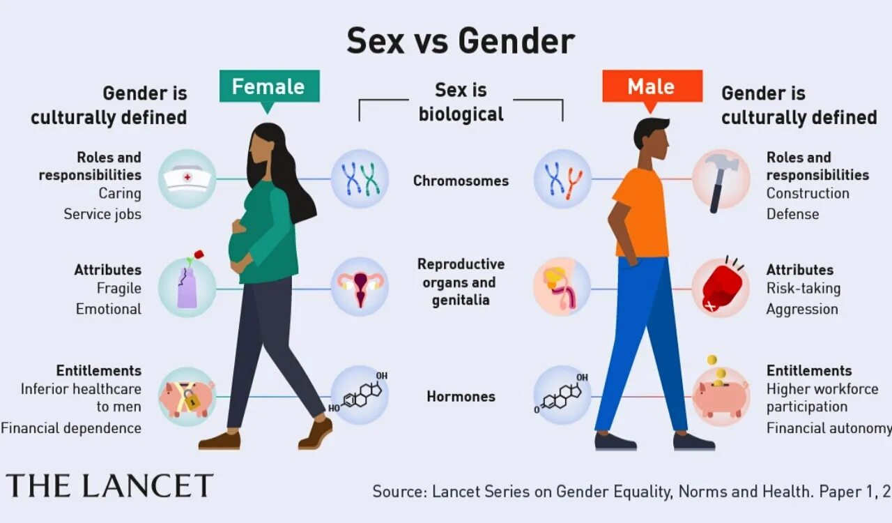 Female gender 1.20. Гендеры male, female,. ftm гендер. different between gender and sexuality. what s the difference between sex and gender.