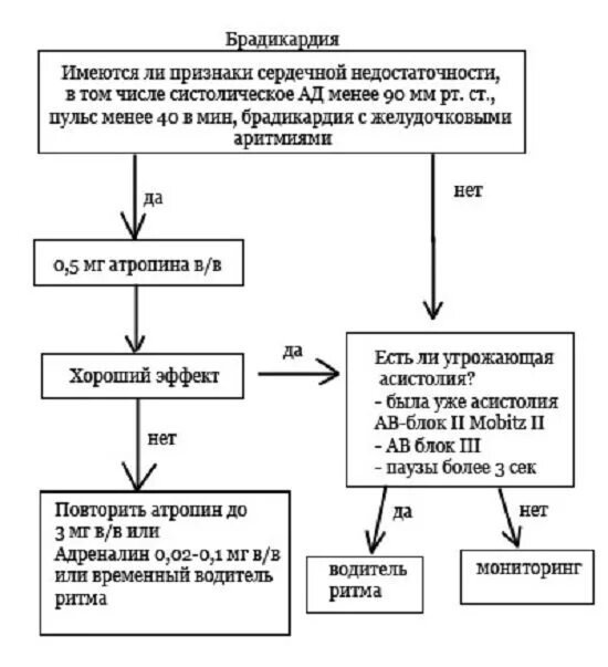 Брадикардия признаки симптомы. Синусовая брадикардия препараты. патогенез брадикардии. лекарства при брадикардии сердца. при синусовой брадикардии препараты.