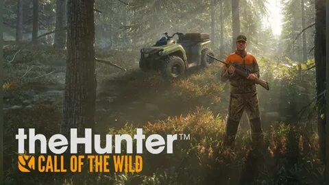 Игра вилд хантер