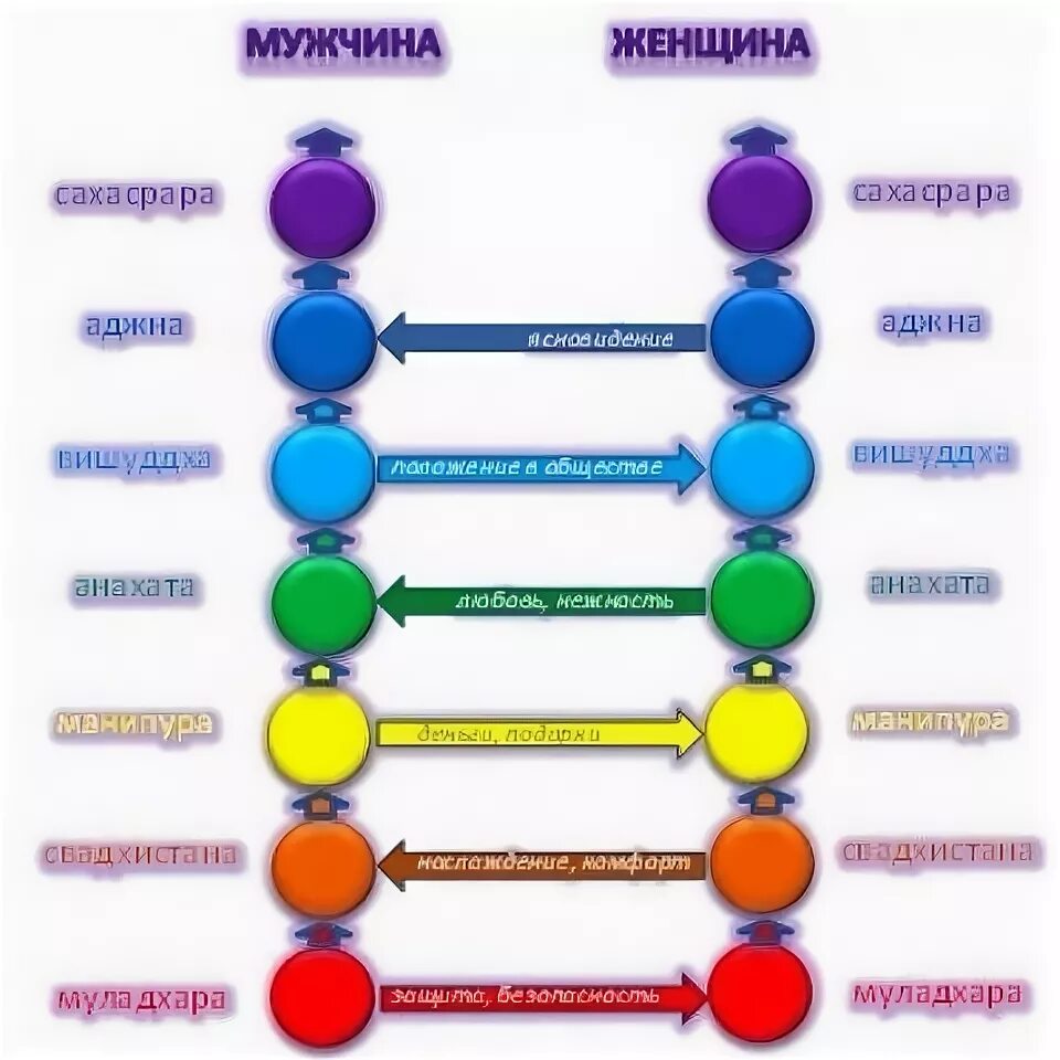 энергообмен мужчины и женщины по чакрам. энергия между мужчиной и женщиной. энергетический уровень между мужчиной и женщиной. энергетический уровень между мужчиной и женщиной. чакры мужчина и женщина взаимодействие.