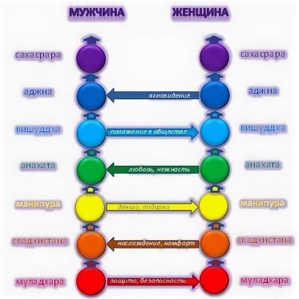Энергетические связи мужчины и женщины. Чакры энергообмен между мужчиной и женщиной. Чакры мужчина и женщина взаимодействие. Мужские и женские чакры. Взаимодействие чакр между мужчиной и женщиной.