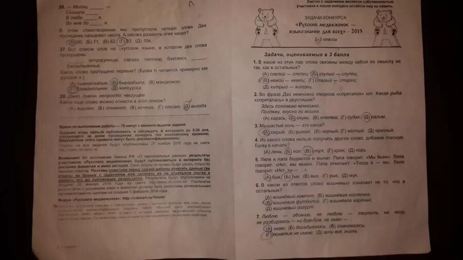 Медвежонок по русскому языку 2 класс 2025. Медвежонок по русскому языку 2 класс 2025
