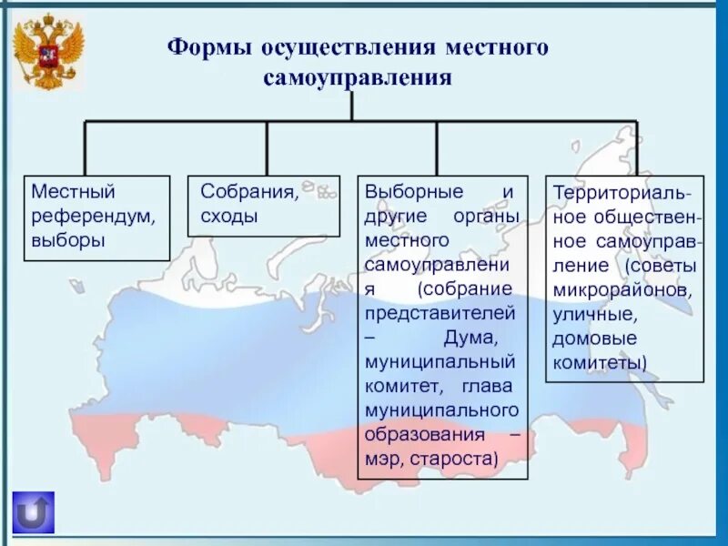 Органы местного самоуправления Астраханской области. Формы местного самоуправления. Формы осуществления местного самоуправления. Формы осуществления местного самоуправления, его органы..