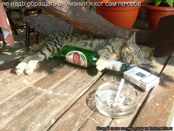 иногда нужно просто расслабиться выпить чаю и успокоиться. демотиватор расслабься. надпись-расслабляемся. иногда нужно просто плыть по течению. кот расслабляется.