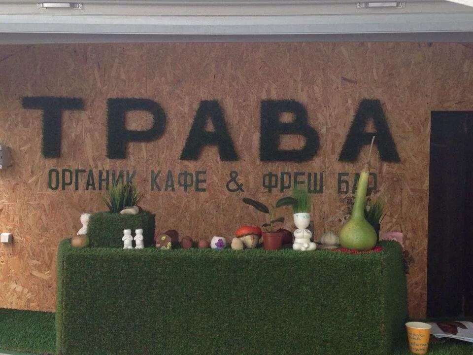 Кафе на траве. Трава Орск кафе. Трава бар. Гастробар трава Орск. Гастробар трава