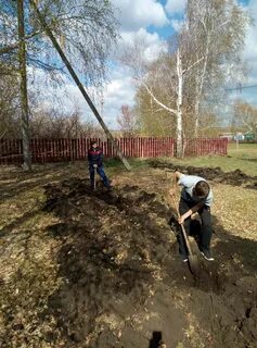 Погода старый березняк
