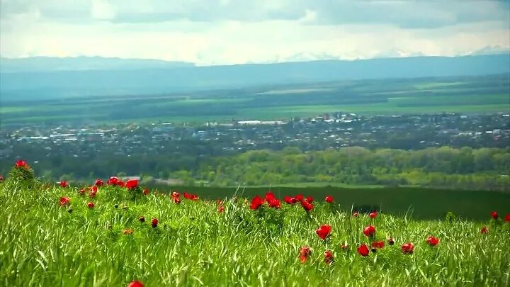 Село благодарное отрадненского района краснодарского края. Краснодарский край станица Отрадная Хутор Ильич. Отрадненский район станица Отрадная природа. Отрадненский район Краснодарского края Лазорики. Хутор Чехрак Отрадненский район Краснодарский.