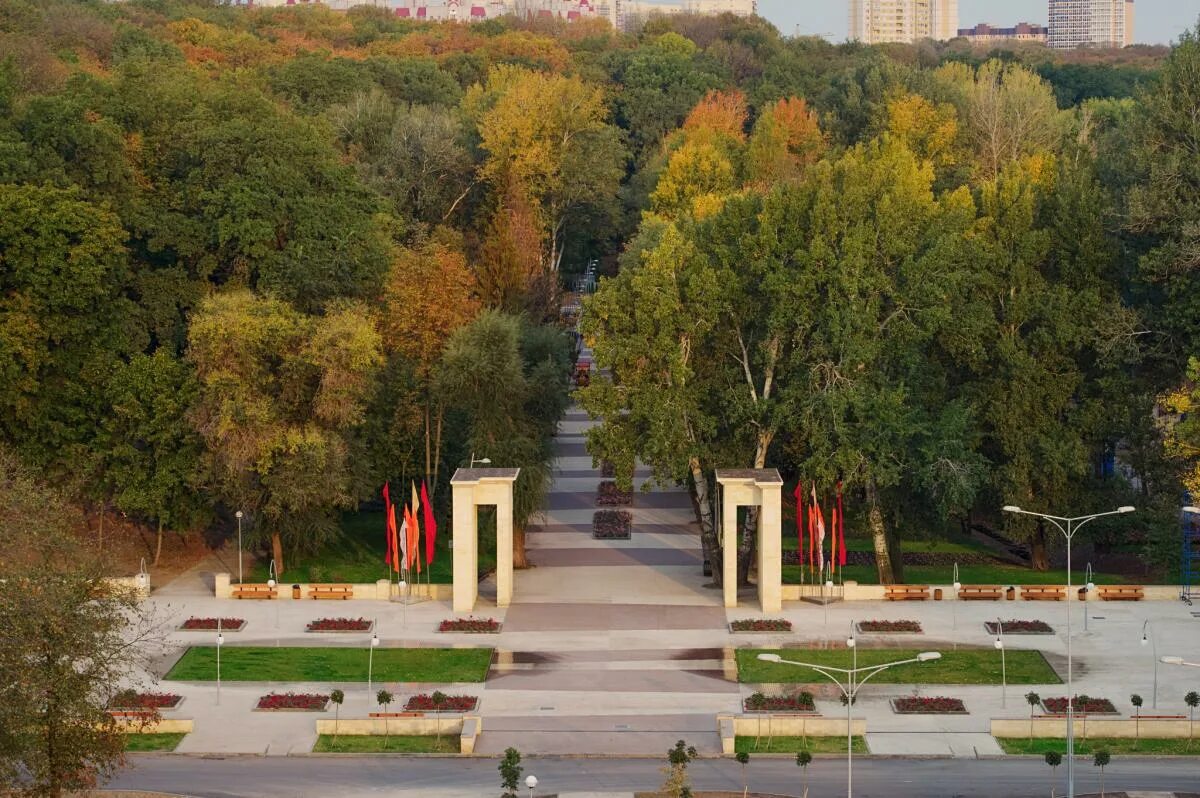 Динамо воронеж мероприятия. Воронежский центральный парк динамо. Воронежский центральный парк культуры и отдыха. Воронежский центральный парк, воронеж. Парк динамо воронеж 2024.